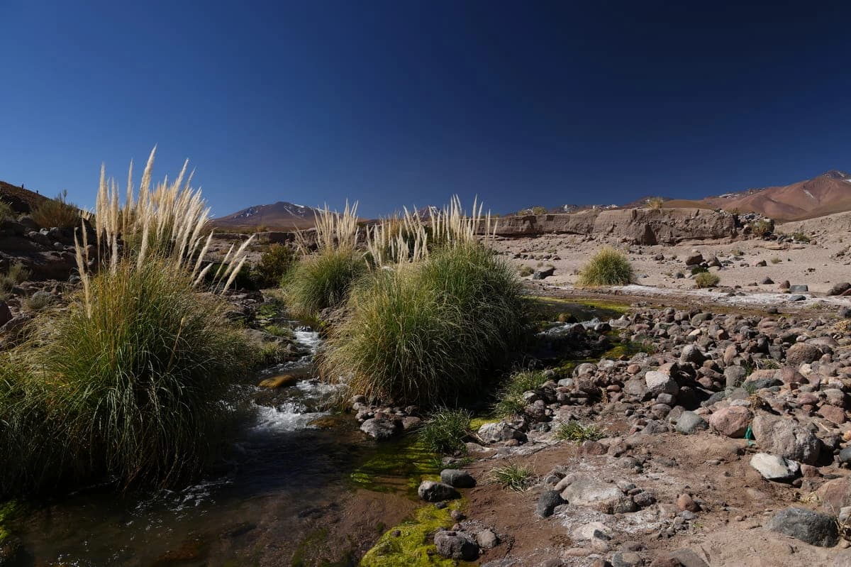 Puritama Hot Springs - 3