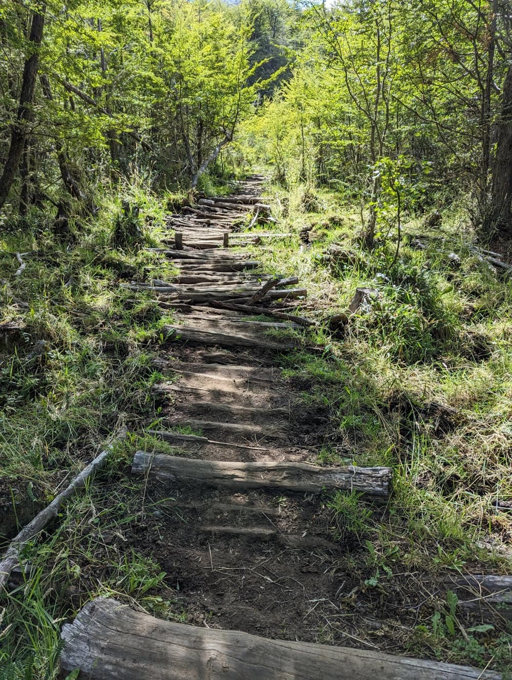 Parque Cerro Castillo - 2