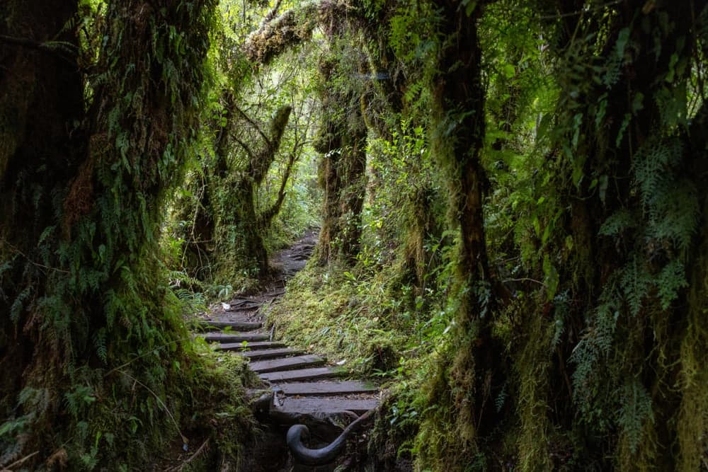 Parque Patagonia - 1